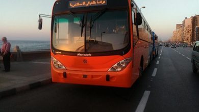 تذاكر النقل العام الالكترونية , التذكرة الإلكترونية , هيئة نقل الركاب بالإسكندرية , الإسكندرية , علي صقر ,