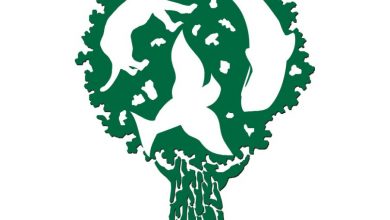 منحة فورد للبيئة - الحفاظ على البيئة - السيارات الضارة بالبيئة - سيارات الديزل - الانبعاثات الكربونية - موقع سيارات مستعملة - جروب سيارات - أحدث السيارات - أخبار السيارات - أسعار السيارات