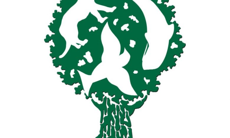 منحة فورد للبيئة - الحفاظ على البيئة - السيارات الضارة بالبيئة - سيارات الديزل - الانبعاثات الكربونية - موقع سيارات مستعملة - جروب سيارات - أحدث السيارات - أخبار السيارات - أسعار السيارات