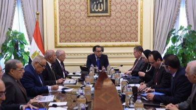 السيسي صناعة السيارات , استراتيجية صناعة السيارات , السيارات الكهربائية , سيارات الغاز الطبيعي 