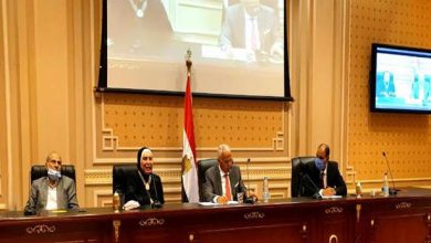 وزيرة الصناعة - إحلال السيارات - استبدال السيارات للغاز - موقع أخبار السيارات