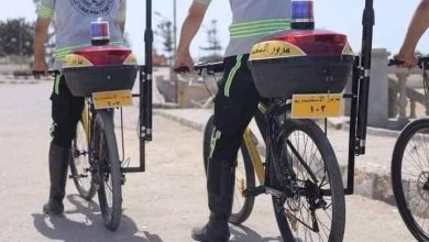 مرور الإسكندرية