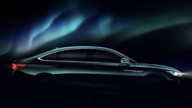 شيري أريزو 8