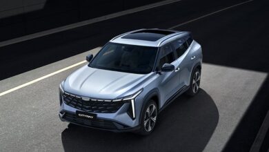 جيلي سيتي راي