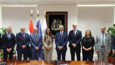 الشركات الحاصلة على ترخيص خدمات إنترنت الأشياء للسيارات في مصر