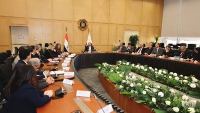 لقاء وزير الصناعة والنقل مع وفود الشركات النمساوية العاملة في مجال صناعة السكك الحديدية