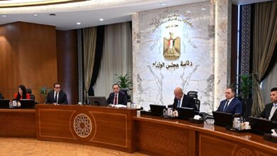 مجلس الوزراء يوافق على تشكيل جديد لمجلس إدارة الهيئة العامة للرقابة على الصادرات والواردات