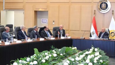 لقاء نائب رئيس مجلس الوزراء للتنمية الصناعية وزير الصناعة والنقل والمهندس/ محمد السويدي رئيس اتحاد الصناعات المصرية وممثلي غرفة الصناعات الهندسية