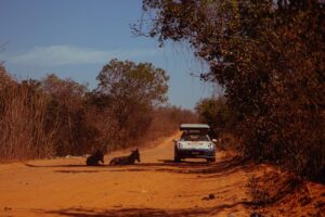 بورشه 911 داكار