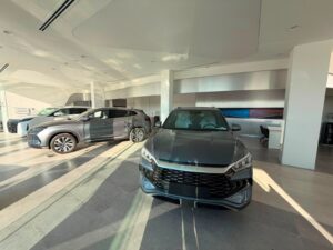 مركز بي واي دي بالإسكندرية
